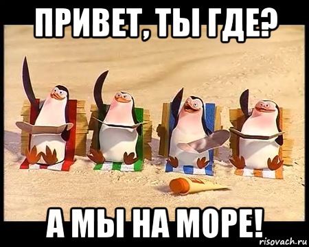 привет, ты где? а мы на море!, Мем   пингвины мадагаскара машут