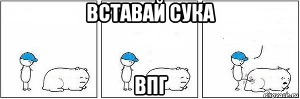 вставай сука впг