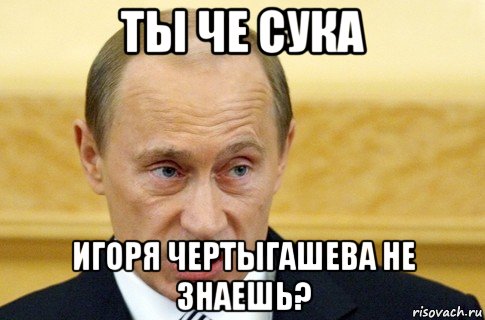 ты че сука игоря чертыгашева не знаешь?, Мем путин