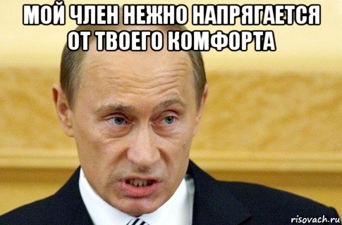 мой член нежно напрягается от твоего комфорта , Мем путин