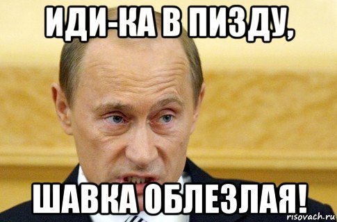 иди-ка в пизду, шавка облезлая!, Мем путин