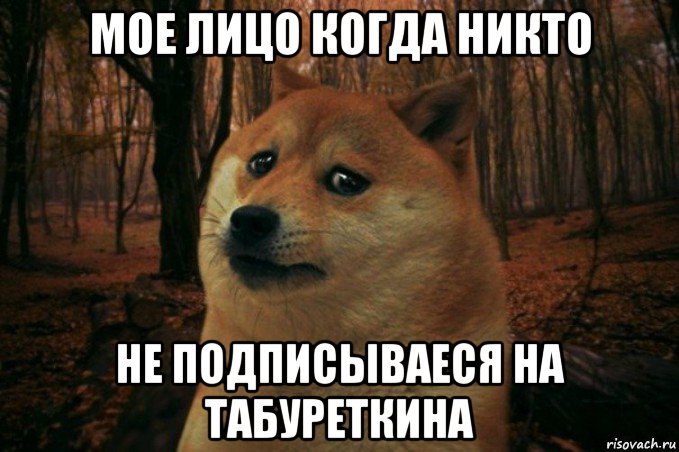 мое лицо когда никто не подписываеся на табуреткина, Мем SAD DOGE