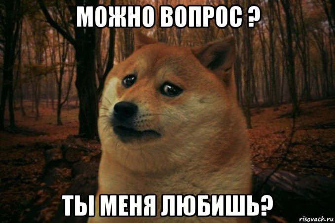 можно вопрос ? ты меня любишь?, Мем SAD DOGE