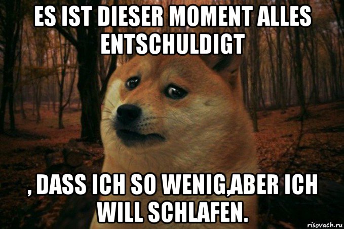 es ist dieser moment alles entschuldigt , dass ich so wenig,aber ich will schlafen., Мем SAD DOGE