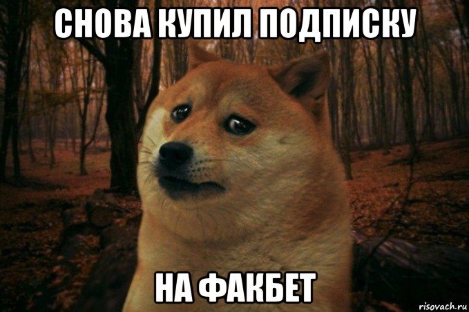 снова купил подписку на факбет, Мем SAD DOGE