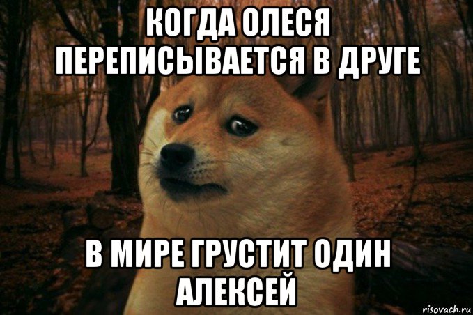 когда олеся переписывается в друге в мире грустит один алексей, Мем SAD DOGE