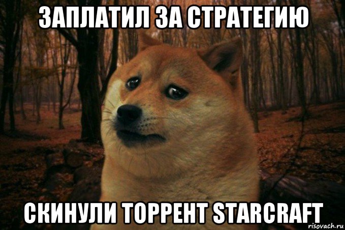 заплатил за стратегию скинули торрент starcraft, Мем SAD DOGE