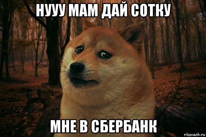 нууу мам дай сотку мне в сбербанк, Мем SAD DOGE