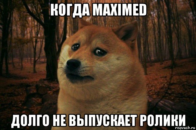 когда maximed долго не выпускает ролики, Мем SAD DOGE