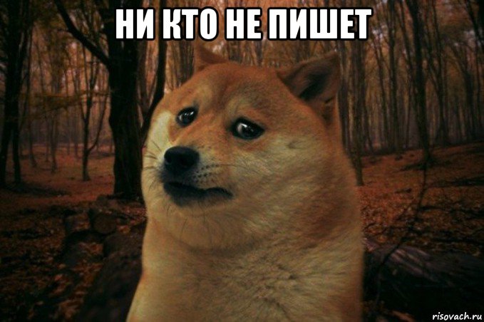 ни кто не пишет , Мем SAD DOGE