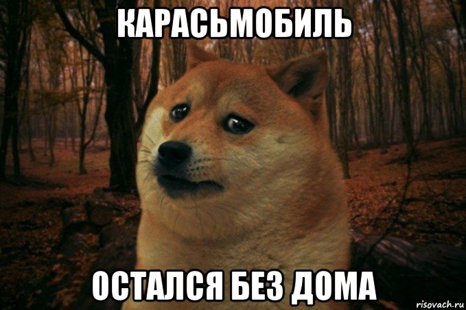 карасьмобиль остался без дома, Мем SAD DOGE