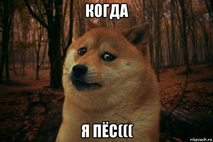 когда я пёс(((, Мем SAD DOGE