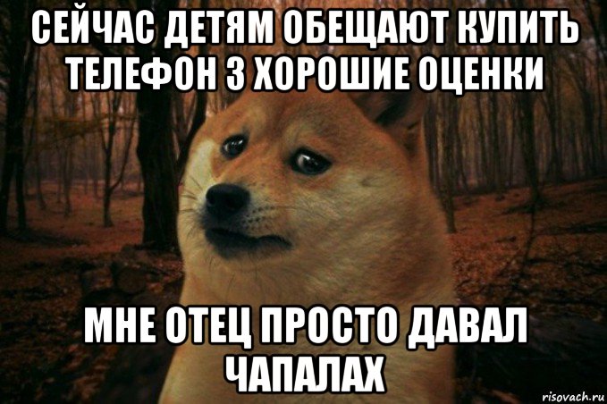 сейчас детям обещают купить телефон з хорошие оценки мне отец просто давал чапалах, Мем SAD DOGE