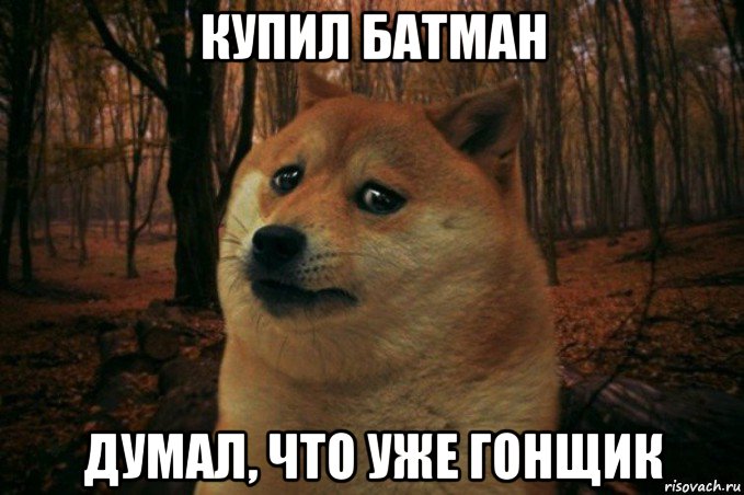 купил батман думал, что уже гонщик, Мем SAD DOGE