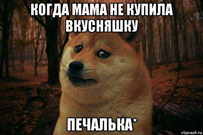 когда мама не купила вкусняшку печалька*, Мем SAD DOGE