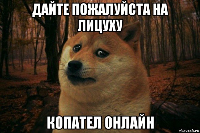 дайте пожалуйста на лицуху копател онлайн, Мем SAD DOGE