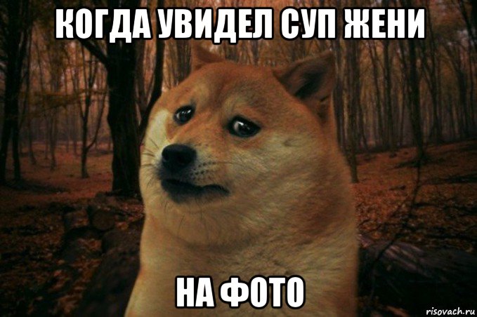 когда увидел суп жени на фото, Мем SAD DOGE