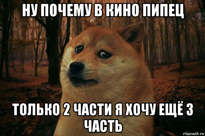 ну почему в кино пипец только 2 части я хочу ещё 3 часть, Мем SAD DOGE