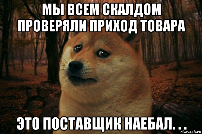 мы всем скалдом проверяли приход товара это поставщик наебал. . ., Мем SAD DOGE