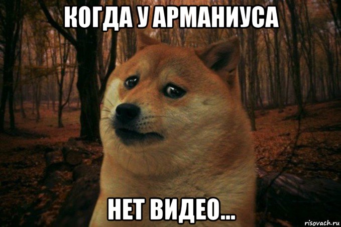 когда у арманиуса нет видео..., Мем SAD DOGE