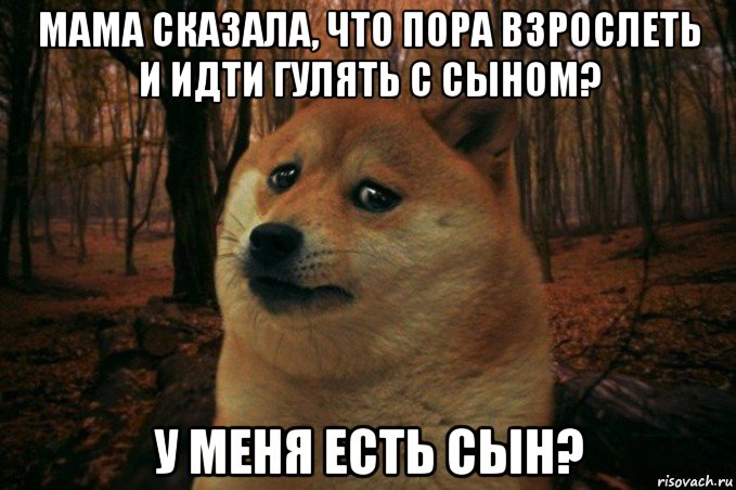 мама сказала, что пора взрослеть и идти гулять с сыном? у меня есть сын?, Мем SAD DOGE