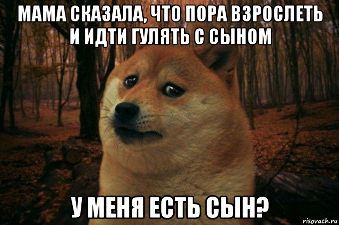 мама сказала, что пора взрослеть и идти гулять с сыном у меня есть сын?, Мем SAD DOGE