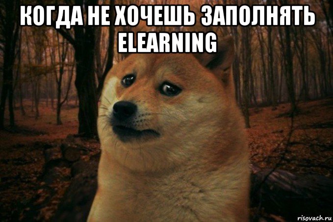 когда не хочешь заполнять elearning , Мем SAD DOGE