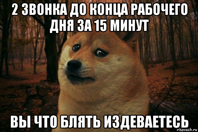 2 звонка до конца рабочего дня за 15 минут вы что блять издеваетесь, Мем SAD DOGE