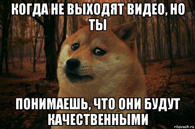 когда не выходят видео, но ты понимаешь, что они будут качественными, Мем SAD DOGE