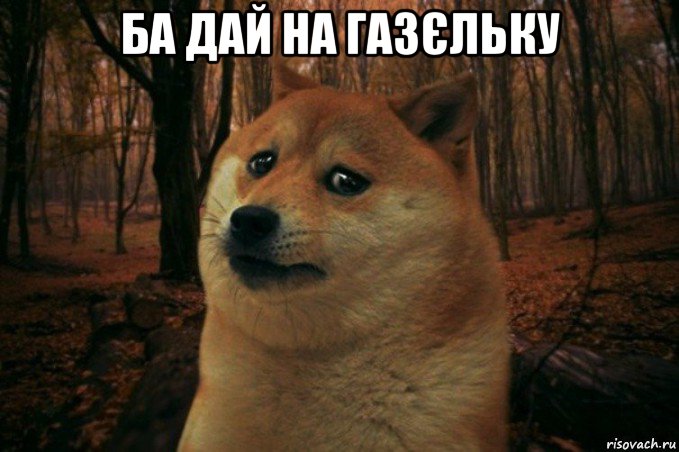 ба дай на газєльку , Мем SAD DOGE