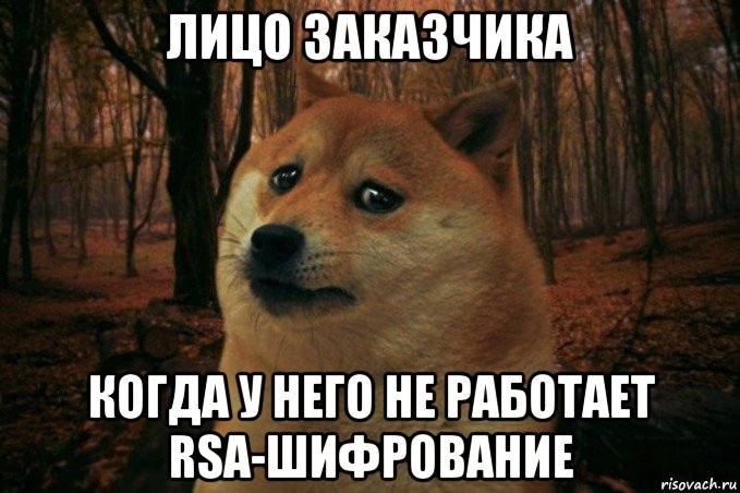 лицо заказчика когда у него не работает rsa-шифрование, Мем SAD DOGE