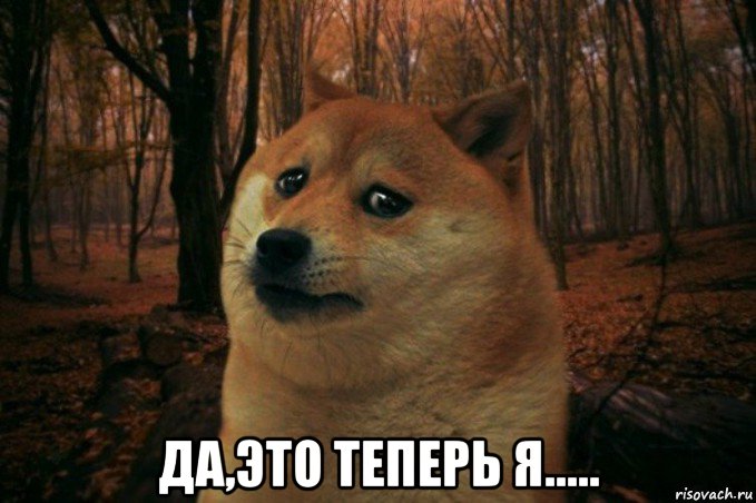  да,это теперь я....., Мем SAD DOGE