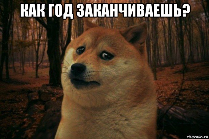 как год заканчиваешь? , Мем SAD DOGE