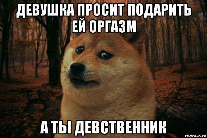 девушка просит подарить ей оргазм а ты девственник, Мем SAD DOGE