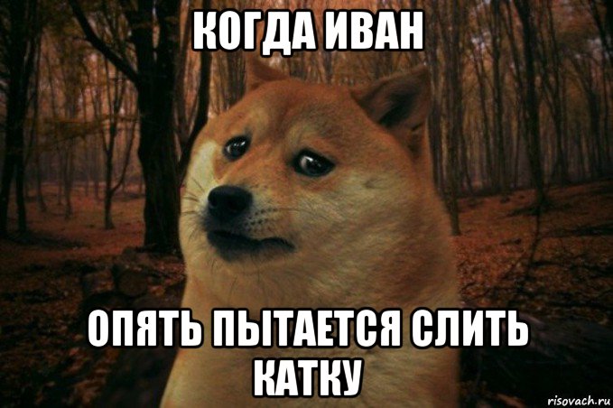 когда иван опять пытается слить катку, Мем SAD DOGE