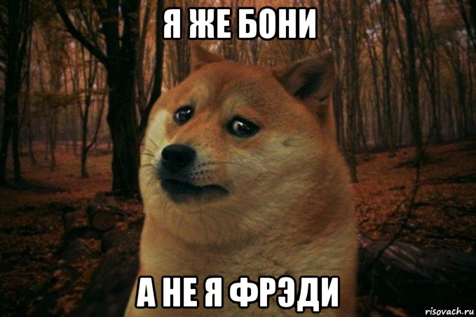 я же бони а не я фрэди, Мем SAD DOGE