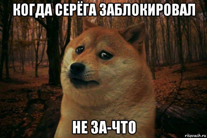 когда серёга заблокировал не за-что, Мем SAD DOGE