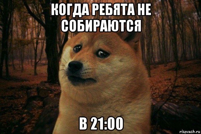 когда ребята не собираются в 21:00, Мем SAD DOGE