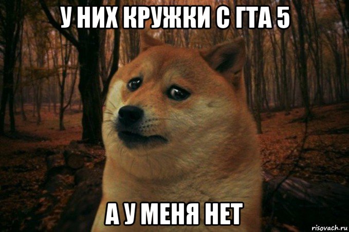 у них кружки с гта 5 а у меня нет, Мем SAD DOGE