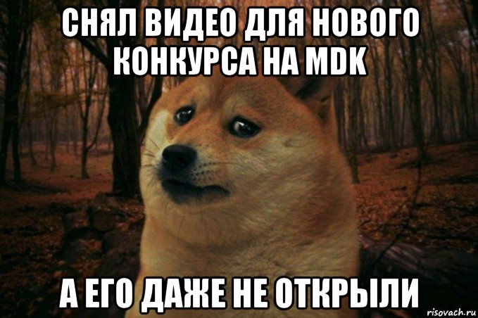 снял видео для нового конкурса на mdk а его даже не открыли, Мем SAD DOGE