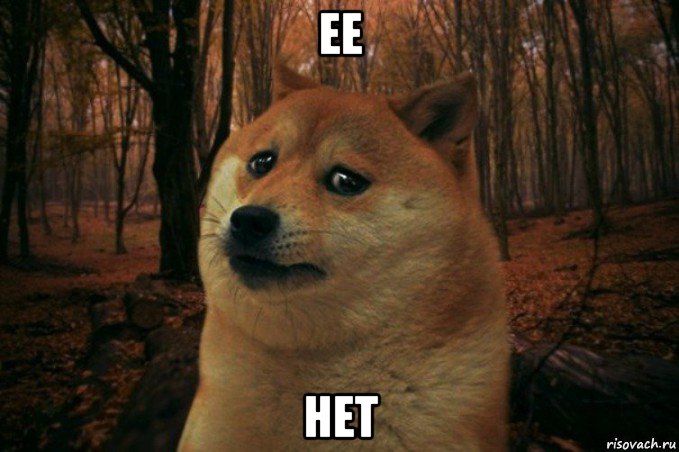 ее нет, Мем SAD DOGE