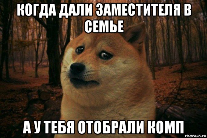 когда дали заместителя в семье а у тебя отобрали комп, Мем SAD DOGE