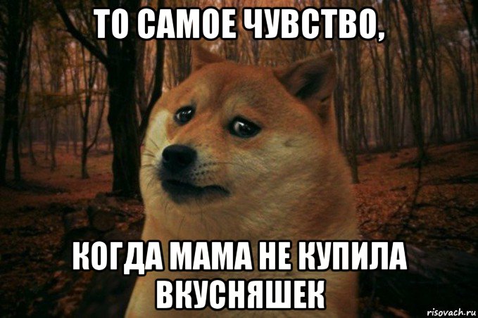 то самое чувство, когда мама не купила вкусняшек, Мем SAD DOGE