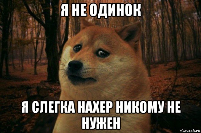 я не одинок я слегка нахер никому не нужен, Мем SAD DOGE