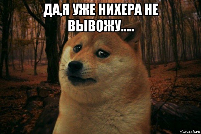 да,я уже нихера не вывожу..... , Мем SAD DOGE