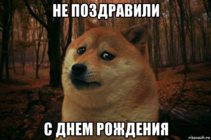 не поздравили с днем рождения, Мем SAD DOGE