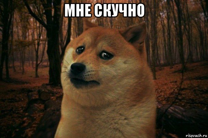 мне скучно , Мем SAD DOGE