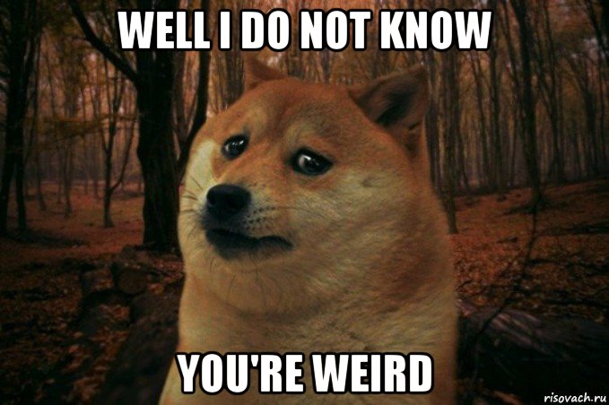 well i do not know you're weird, Мем SAD DOGE