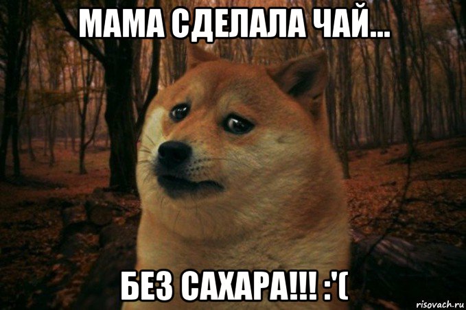 мама сделала чай... без сахара!!! :'(, Мем SAD DOGE