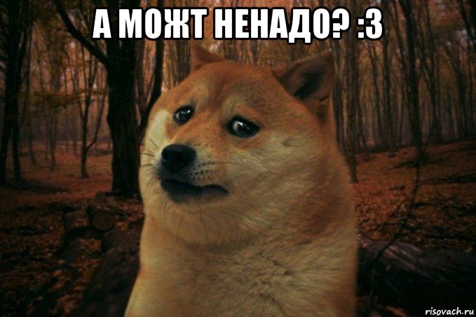 а можт ненадо? :3 , Мем SAD DOGE